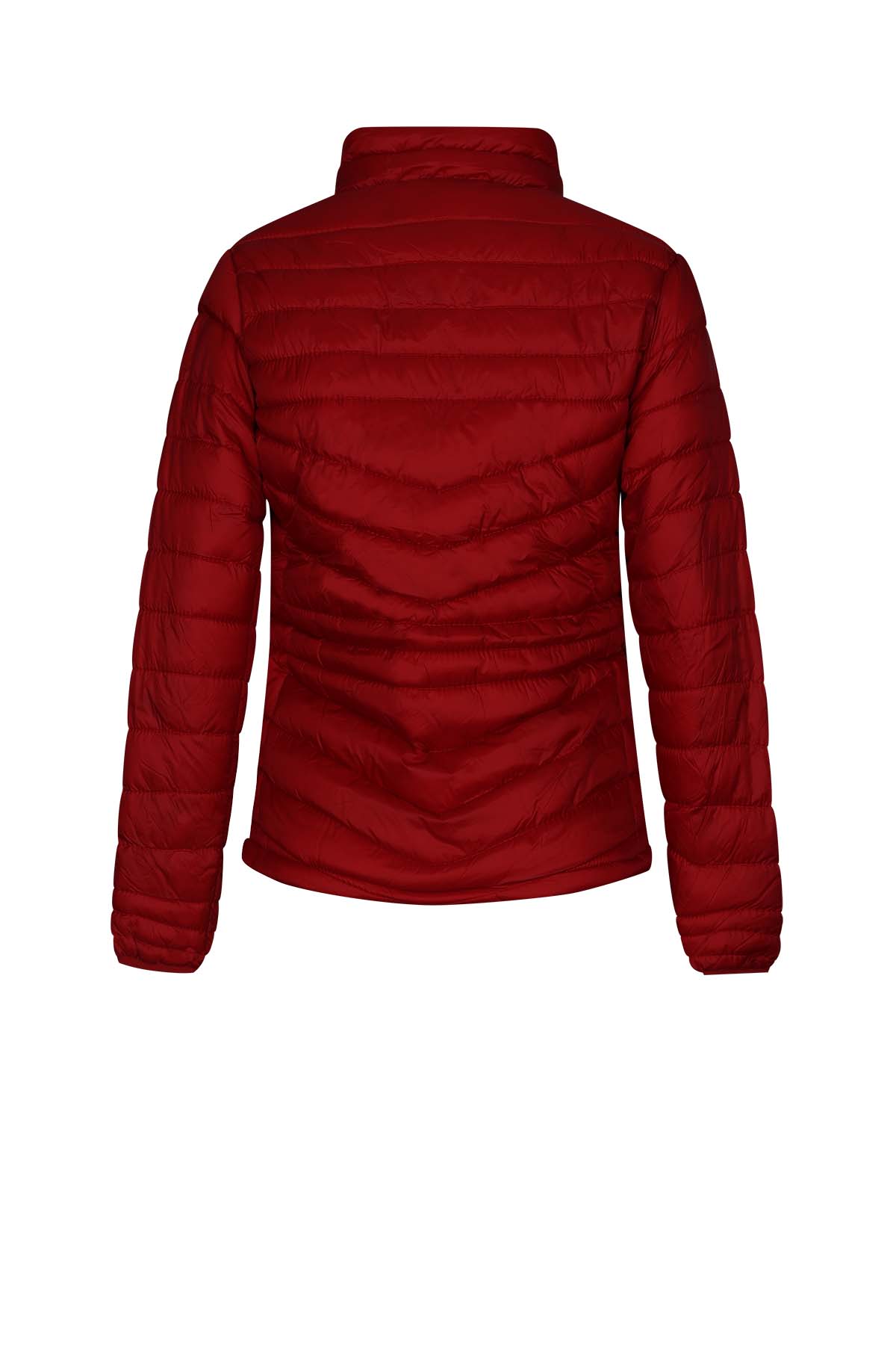 Chamarra Modelo 001001001999